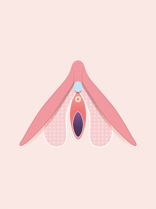 clit and gspot vibrator The Role of The Clitoris and Where To Find It | Smile Makers