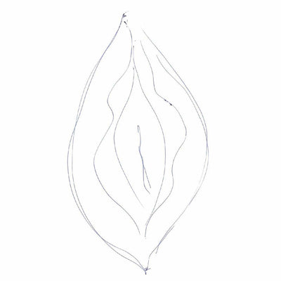 doodle of a vulva