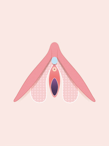 Clitoris 101: What is it, where to find it & complete diagrams
