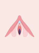 Clitoris 101: What is it, where to find it & complete diagrams