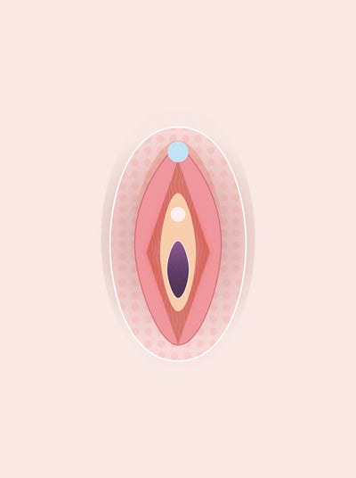simple diagram of the vulva by smile makers