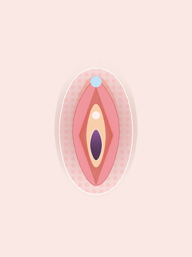 simple diagram of the vulva by smile makers