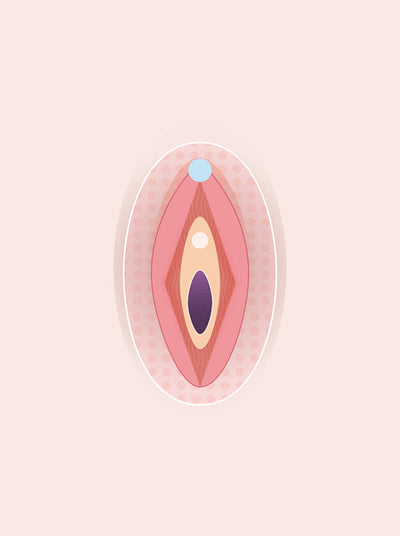simple diagram of the vulva by smile makers