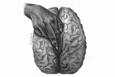 brain and orgasm, what happens