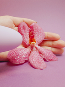 a purple vibrator stroking a pink flower